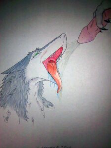 Rating: Explicit Score: 0 Tags: 3:4 ambiguous_gender anthro blush bodily_fluids cum cum_in_mouth cum_inside cum_on_face cumshot cumshot_in_mouth disembodied_hand duo e621 ejaculation erection facial_cumshot genital_fluids genitals green_eyes holding_penis long_tongue male mammal nude open_mouth orgasm penis rule34 sergal sharp_teeth simple_background teeth tongue tongue_out traditional_media_(artwork) unknown_artist vein veiny_penis white_background User: bunchy7s Rating: Explicit Score: 0 Tags: 3:4 ambiguous_gender anthro blush bodily_fluids cum cum_in_mouth cum_inside cum_on_face cumshot cumshot_in_mouth disembodied_hand duo e621 ejaculation erection facial_cumshot genital_fluids genitals green_eyes holding_penis long_tongue male mammal nude open_mouth orgasm penis rule34 sergal sharp_teeth simple_background teeth tongue tongue_out traditional_media_(artwork) unknown_artist vein veiny_penis white_background User: bunchy7s