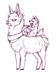 Rating: Safe Score: 0 Tags: 2013 ambiguous_gender camelid canid canine canis digital_drawing_(artwork) digital_media_(artwork) duo e621 eye_contact falvie feral hooves line_art llama looking_at_another mammal monochrome purple_and_white quadruped riding size_difference sketch tail unguligrade wolf User: bunchy7s