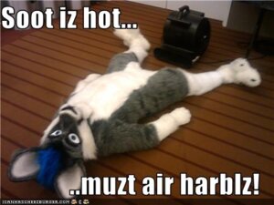 Rating: Safe Score: 0 Tags: 4:3 anthro biped blue_eyes blue_hair clothing costume e621 electric_fan english_text fur fursuit grandfathered_content hair image_macro impact_(font) kangaroo low_res lying macropod male mammal marsupial meme real solo text unknown_artist User: bunchy7s Rating: Safe Score: 0 Tags: 4:3 anthro biped blue_eyes blue_hair clothing costume e621 electric_fan english_text fur fursuit grandfathered_content hair image_macro impact_(font) kangaroo low_res lying macropod male mammal marsupial meme real solo text unknown_artist User: bunchy7s