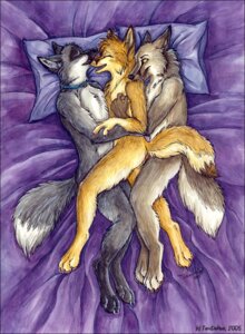 Rating: Explicit Score: 0 Tags: 2005 anal anal_sex anthro bed biting canine chest_tuft claws closed_eyes collar ear_tufts eyes female fur furry licking male nipple_pinching overhead paws penetration penis pussy raised_tail rule34 sandwiched sex smile straight tail tani_da_real threesome tongue vaginal_penetration wolf yellow_eyes User: bunchy7s Rating: Explicit Score: 0 Tags: 2005 anal anal_sex anthro bed biting canine chest_tuft claws closed_eyes collar ear_tufts eyes female fur furry licking male nipple_pinching overhead paws penetration penis pussy raised_tail rule34 sandwiched sex smile straight tail tani_da_real threesome tongue vaginal_penetration wolf yellow_eyes User: bunchy7s