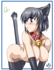 Rating: Explicit Score: 0 Tags: animal_humanoid arthropod bell big_breasts blue_eyes blush bottomless breasts butterfly cat_humanoid clothed clothing collar e621 felid felid_humanoid feline feline_humanoid female gloves grey_hair hair handwear humanoid insect legwear lepidopteran mammal mammal_humanoid short_hair solo stockings tail thigh_highs unknown_artist wide_collar User: bunchy7s