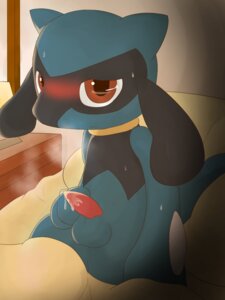 Rating: Explicit Score: 0 Tags: 3:4 balls bed blue_body blue_fur blush bodily_fluids canid canine chigiri cum cum_on_penis digital_media_(artwork) e621 erection fur furniture generation_4_pokemon genital_fluids genitals inside looking_at_viewer male mammal masturbation nintendo nude penile penile_masturbation penis pillow pokemon pokemon_(species) red_eyes riolu solo steam sweat tapering_penis User: bunchy7s Rating: Explicit Score: 0 Tags: 3:4 balls bed blue_body blue_fur blush bodily_fluids canid canine chigiri cum cum_on_penis digital_media_(artwork) e621 erection fur furniture generation_4_pokemon genital_fluids genitals inside looking_at_viewer male mammal masturbation nintendo nude penile penile_masturbation penis pillow pokemon pokemon_(species) red_eyes riolu solo steam sweat tapering_penis User: bunchy7s