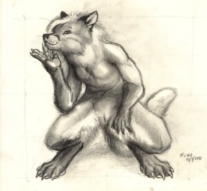 Rating: Explicit Score: 0 Tags: 2010 anthro breasts canid canine claws crouching e621 female fox fur genitals gloves_(marking) graphite_(artwork) greyscale hair leg_markings looking_at_viewer mammal markings monochrome nude scale_(artist) sketch small_breasts socks_(marking) solo tail traditional_media_(artwork) vulva whiskers User: bunchy7s
