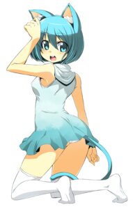 Rating: Questionable Score: 0 Tags: animal_humanoid blue_eyes blue_hair cat_humanoid cat_tail clothing dress e621 felid felid_humanoid feline feline_humanoid female hair hi_res humanoid kneeling looking_back mammal mammal_humanoid onija open_mouth panties panty_shot paw_pose pose short_hair simple_background solo underwear white_background User: bunchy7s
