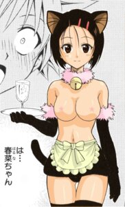 Rating: Explicit Score: 0 Tags: artist_request breasts censored clothing female looking_at_viewer rule34 sairenji_haruna small_breasts to_love-ru translation_request yuuki_rito User: bunchy7s