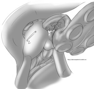 Rating: Explicit Score: 0 Tags: 2012 anal anal_penetration animal_genitalia animal_penis ass_up backsack balls bodily_fluids cum cutie_mark e621 equid equine equine_genitalia equine_penis erection faceless_character faceless_male feral forced genital_fluids genitals greyscale hasbro male mammal messysketch monochrome my_little_pony mythological_creature mythological_equine mythology pegasus penetration penis rape sex simple_background solo tentacle_rape tentacle_sex tentacles white_background wings User: bunchy7s