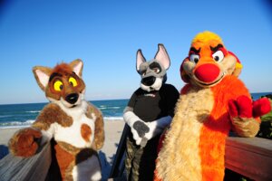 Rating: Safe Score: 0 Tags: anthro beach brown_eyes canid canine canis chest_tuft ciro_(character) clothing costume coyote derby detailed_background domestic_dog e621 fur fursuit grandfathered_content group herpestid latinvixen looking_at_viewer male mammal meerkat orange_body orange_eyes orange_fur outside real sand sea seaside sky tuft waji water yellow_eyes User: bunchy7s