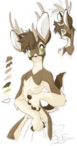 Rating: Questionable Score: 0 Tags: anthro antlers covering covering_self deer e621 horn male mammal model_sheet nude peritian side_view solo tail young young_anthro User: bunchy7s