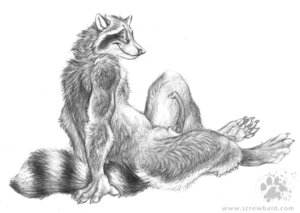 Rating: Explicit Score: 0 Tags: 2007 animal_genitalia animal_penis anthro blotch curved_penis e621 erection genitals hooked_penis looking_at_viewer male mammal monochrome nude penis procyonid raccoon raccoon_penis scratches_volume_1 simple_background smile solo tail thin_penis traditional_media_(artwork) white_background User: bunchy7s