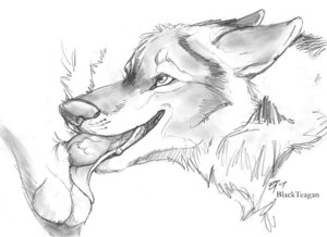 Rating: Explicit Score: 0 Tags: ambiguous_gender animal_genitalia animal_penis anthro ball_lick balls ballsurfing blackteagan canid canine canine_genitalia canine_penis close-up crotch_shot disembodied_penis duo e621 ears_back erection fangs fellatio fox fur genitals greyscale headshot_portrait knot licking long_mouth male mammal monochrome nude oral oral_penetration penetration penile penis penis_in_mouth pivoted_ears portrait sex sex_shot sketch snout teeth tongue tongue_out tongue_out_fellatio User: bunchy7s Rating: Explicit Score: 0 Tags: ambiguous_gender animal_genitalia animal_penis anthro ball_lick balls ballsurfing blackteagan canid canine canine_genitalia canine_penis close-up crotch_shot disembodied_penis duo e621 ears_back erection fangs fellatio fox fur genitals greyscale headshot_portrait knot licking long_mouth male mammal monochrome nude oral oral_penetration penetration penile penis penis_in_mouth pivoted_ears portrait sex sex_shot sketch snout teeth tongue tongue_out tongue_out_fellatio User: bunchy7s