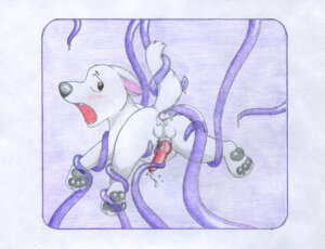 Rating: Explicit Score: 0 Tags: anal anal_penetration animal_genitalia animal_penis anus backsack balls bolt_(bolt) bolt_(film) butt canid canine canine_genitalia canine_penis canis disney domestic_dog dormant_otter e621 erection feral genitals german_shepherd herding_dog knot male mammal nude pastoral_dog paws penetration penis raised_tail sheath solo tail tentacles User: bunchy7s Rating: Explicit Score: 0 Tags: anal anal_penetration animal_genitalia animal_penis anus backsack balls bolt_(bolt) bolt_(film) butt canid canine canine_genitalia canine_penis canis disney domestic_dog dormant_otter e621 erection feral genitals german_shepherd herding_dog knot male mammal nude pastoral_dog paws penetration penis raised_tail sheath solo tail tentacles User: bunchy7s
