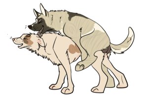 Rating: Explicit Score: 0 Tags: amarillo_(fursona) amarillowhiskey ambiguous_penetration balls border_collie canid canine canis collie digitigrade domestic_dog duo e621 eyes_closed feet female female_penetrated feral feral_on_feral feral_penetrated feral_penetrating feral_penetrating_feral floppy_ears from_behind_position genitals german_shepherd herding_dog male male/female male_penetrating male_penetrating_female mammal nude open_mouth pastoral_dog paws penetration sex sheepdog simple_background User: bunchy7s Rating: Explicit Score: 0 Tags: amarillo_(fursona) amarillowhiskey ambiguous_penetration balls border_collie canid canine canis collie digitigrade domestic_dog duo e621 eyes_closed feet female female_penetrated feral feral_on_feral feral_penetrated feral_penetrating feral_penetrating_feral floppy_ears from_behind_position genitals german_shepherd herding_dog male male/female male_penetrating male_penetrating_female mammal nude open_mouth pastoral_dog paws penetration sex sheepdog simple_background User: bunchy7s