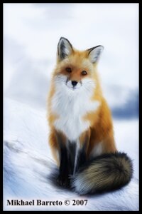 Rating: Safe Score: 0 Tags: 2007 ambiguous_gender canid canine darksilver detailed detailed_background e621 feral fox looking_at_viewer mammal outside quadruped realistic red_fox sitting snow solo tail true_fox User: bunchy7s Rating: Safe Score: 0 Tags: 2007 ambiguous_gender canid canine darksilver detailed detailed_background e621 feral fox looking_at_viewer mammal outside quadruped realistic red_fox sitting snow solo tail true_fox User: bunchy7s