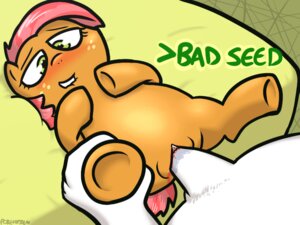 Rating: Explicit Score: 0 Tags: 4:3 babs_seed_(mlp) bestiality blood blood_from_vagina blood_in_pussy blush bodily_fluids duo e621 earth_pony equid equine female female_focus female_on_human feral friendship_is_magic genitals hasbro horse human human_on_feral interspecies male male/female male_on_feral mammal my_little_pony onihidden pony sex solo_focus vaginal vulva young young_female young_feral User: bunchy7s