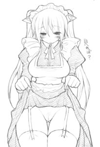 Rating: Explicit Score: 0 Tags: animal_ears apron blush breasts cat_ears censored copyright_request female garter_belt hips large_breasts maid monochrome mutsutake no_panties pussy rule34 sketch skirt skirt_lift thighhighs wide_hips User: bunchy7s