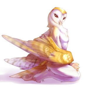 Rating: Safe Score: 0 Tags: 2010 ambiguous_gender anthro avian barn_owl beak biped bird chest_tuft claws digital_media_(artwork) e621 feathered_wings feathers feet fur kneeling looking_at_viewer nude owl peritian red_eyes side_view simple_background smaller_version_at_source solo talons toe_claws toes tuft tyto tytonid white_background wings yellow_body yellow_feathers User: bunchy7s