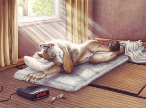 Rating: Explicit Score: 0 Tags: 2012 5_fingers alarm_clock animal_genitalia anthro bed bedding biped blanket bloodhound_omega brown_body brown_fur canid canine canis casual_nudity claws clock conditional_dnp day detailed domestic_dog e621 eyes_closed eyewear feet fingers fully_sheathed fur furniture genitals glasses grey_body grey_fur inside light lying male mammal mattress nude on_bed on_side sheath sleeping solo sunlight tail window User: bunchy7s Rating: Explicit Score: 0 Tags: 2012 5_fingers alarm_clock animal_genitalia anthro bed bedding biped blanket bloodhound_omega brown_body brown_fur canid canine canis casual_nudity claws clock conditional_dnp day detailed domestic_dog e621 eyes_closed eyewear feet fingers fully_sheathed fur furniture genitals glasses grey_body grey_fur inside light lying male mammal mattress nude on_bed on_side sheath sleeping solo sunlight tail window User: bunchy7s