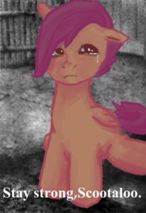 Rating: Safe Score: 0 Tags: bodily_fluids crying detailed_background e621 equid equine feathered_wings feathers female feral friendship_is_magic fur hachiko hair hasbro low_res mammal my_little_pony mythological_creature mythological_equine mythology orange_body orange_feathers orange_fur pegasus purple_hair sad scootaloo_(mlp) solo tears toony wings young young_feral User: bunchy7s