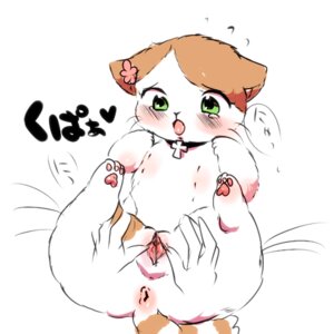 Rating: Explicit Score: 0 Tags: 1:1 butt e621 felid female feral genitals lying mammal on_back paws quadruped simple_background solo tail toony unavailable_at_source unknown_artist vulva white_background User: bunchy7s Rating: Explicit Score: 0 Tags: 1:1 butt e621 felid female feral genitals lying mammal on_back paws quadruped simple_background solo tail toony unavailable_at_source unknown_artist vulva white_background User: bunchy7s