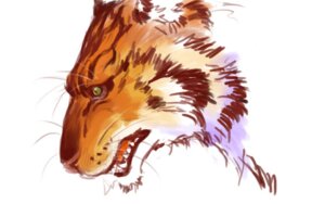 Rating: Safe Score: 0 Tags: 16:10 ambiguous_gender brown_lips brown_nose e621 felid feral fur green_eyes headshot_portrait lips long_mouth mammal nio_nio no_sclera orange_body orange_fur pantherine portrait side_view simple_background snout solo stripes tiger whiskers white_background white_body white_fur widescreen User: bunchy7s Rating: Safe Score: 0 Tags: 16:10 ambiguous_gender brown_lips brown_nose e621 felid feral fur green_eyes headshot_portrait lips long_mouth mammal nio_nio no_sclera orange_body orange_fur pantherine portrait side_view simple_background snout solo stripes tiger whiskers white_background white_body white_fur widescreen User: bunchy7s