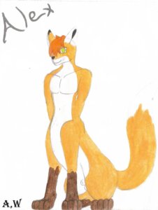 Rating: Explicit Score: 0 Tags: animal_genitalia canid canid_taur canine canine_taur e621 fox fox_taur fully_sheathed genitals hi_res ivxx_chimera_xxvi male mammal mammal_taur sheath simple_background solo tail taur traditional_media_(artwork) white_background User: bunchy7s