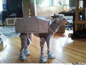 Rating: Safe Score: 0 Tags: ambiguous_gender ball black_nose book bottomwear canid canine canis claws clothed clothing cosplay costume domestic_dog e621 electronics feral furniture grandfathered_content human hunting_dog inside low_res mammal pants photo plant real sighthound solo star_wars table television tree unknown_artist whippet window User: bunchy7s Rating: Safe Score: 0 Tags: ambiguous_gender ball black_nose book bottomwear canid canine canis claws clothed clothing cosplay costume domestic_dog e621 electronics feral furniture grandfathered_content human hunting_dog inside low_res mammal pants photo plant real sighthound solo star_wars table television tree unknown_artist whippet window User: bunchy7s