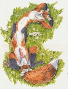 Rating: Explicit Score: 0 Tags: 2010 animal_genitalia animal_penis balls black_body black_fur black_nose blue_eyes canid canid_taur canine canine_genitalia canine_penis canine_taur chest_tuft e621 erection flower fluffy fluffy_tail fox fox_taur fur genitals gloves_(marking) grass heather_bruton khaos_silva knot leg_markings lying male male_taur mammal mammal_taur markings multicolored_body multicolored_fur nude on_back orange_body orange_fur outside penis plant simple_background socks_(marking) solo tail taur tuft white_background white_body white_fur User: bunchy7s