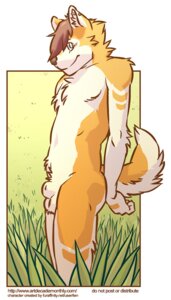 Rating: Explicit Score: 0 Tags: animal_genitalia anthro artdecade balls biped border brown_hair canid canine canis cel_shading day do_not_distribute domestic_dog e621 ear_piercing english_text field fully_sheathed fur genitals grass hair inner_ear_fluff looking_aside looking_at_viewer male mammal orange_body orange_fur outside piercing plant shaded sheath short_hair side_view smile solo standing tail ten_(character) text toony tuft white_body white_border white_fur User: bunchy7s