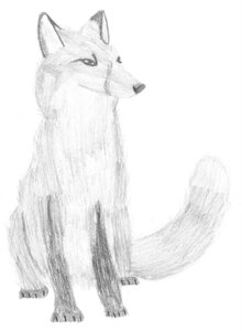 Rating: Safe Score: 0 Tags: absurd_res ambiguous_gender canid canine crayon_(artwork) e621 english_text feedthefurry feral fox greyscale hi_res mammal monochrome simple_background sitting sketch solo text traditional_media_(artwork) white_background User: bunchy7s