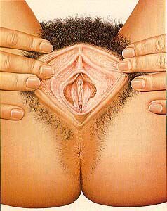 Rating: Explicit Score: 0 Tags: 1girls anal_hair anus artist_request ass female female_anus_hair female_only labia lowres pubic_hair pussy rule34 solo spread_pussy uncensored User: bunchy7s