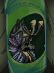Rating: Explicit Score: 0 Tags: 2012 bone chrysalis crown death e621 equid equine feathered_wings feathers female feral friendship_is_magic grey_body grey_feathers hair hasbro headgear hi_res horn mammal multicolored_hair mummification mummy my_little_pony mythological_creature mythological_equine mythology nightmare_fuel open_mouth pinkanon princess princess_celestia_(mlp) royalty solo soul_devouring_eyes teeth undead winged_unicorn wings User: bunchy7s Rating: Explicit Score: 0 Tags: 2012 bone chrysalis crown death e621 equid equine feathered_wings feathers female feral friendship_is_magic grey_body grey_feathers hair hasbro headgear hi_res horn mammal multicolored_hair mummification mummy my_little_pony mythological_creature mythological_equine mythology nightmare_fuel open_mouth pinkanon princess princess_celestia_(mlp) royalty solo soul_devouring_eyes teeth undead winged_unicorn wings User: bunchy7s
