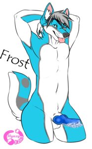 Rating: Explicit Score: 0 Tags: anthro bodily_fluids canid canine canis cum domestic_dog e621 erection genital_fluids genitals husky male mammal nordic_sled_dog penis solo spitz tail tongue yiffy_foxy User: bunchy7s