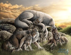 Rating: Safe Score: 0 Tags: ambiguous_gender astaiir bite blue_eyes canid canine canis cloud cuddling detailed_background digitigrade e621 eye_contact feathers feral fur group jewelry kissing licking looking_at_another mammal mythological_canine mythological_creature mythology outside quadruped rock semi-anthro sky sunset tail tongue tongue_out weapon werecanid werecanine werecreature werewolf werewolf_calendar white_body white_fur wolf yellow_eyes young young_feral User: bunchy7s Rating: Safe Score: 0 Tags: ambiguous_gender astaiir bite blue_eyes canid canine canis cloud cuddling detailed_background digitigrade e621 eye_contact feathers feral fur group jewelry kissing licking looking_at_another mammal mythological_canine mythological_creature mythology outside quadruped rock semi-anthro sky sunset tail tongue tongue_out weapon werecanid werecanine werecreature werewolf werewolf_calendar white_body white_fur wolf yellow_eyes young young_feral User: bunchy7s