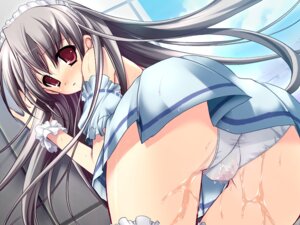 Rating: Explicit Score: 0 Tags: blush censored clothing female long_hair panties panty_pee peeing rule34 urine watersports User: bunchy7s