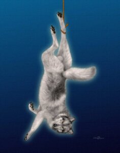 Rating: Explicit Score: 0 Tags: anus backsack balls bdsm black_body black_fur bondage bound canid canine canis claws countershade_face countershade_torso countershading e621 ebon_lupus feral fur genitals grey_body grey_fur hi_res inner_ear_fluff looking_at_viewer male mammal northwestern_wolf pawpads rope solo submissive submissive_male suspension tail tuft upside_down wolf yellow_eyes User: bunchy7s Rating: Explicit Score: 0 Tags: anus backsack balls bdsm black_body black_fur bondage bound canid canine canis claws countershade_face countershade_torso countershading e621 ebon_lupus feral fur genitals grey_body grey_fur hi_res inner_ear_fluff looking_at_viewer male mammal northwestern_wolf pawpads rope solo submissive submissive_male suspension tail tuft upside_down wolf yellow_eyes User: bunchy7s