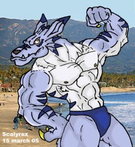 Rating: Safe Score: 0 Tags: 2005 abs anthro bandai_namco beach canid canine clothed clothing digimon digimon_(species) e621 flexing group male mammal muscular muscular_male outside scalyrex seaside skimpy solo_focus speedo speedo_only swimwear topless weregarurumon User: bunchy7s