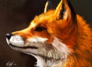 Rating: Safe Score: 0 Tags: 2009 ambiguous_gender canid canine darksilver digital_media_(artwork) digital_painting_(artwork) e621 feral fox fur headshot_portrait mammal orange_body orange_fur painting_(artwork) portrait realistic red_fox side_view solo true_fox User: bunchy7s