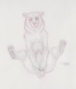 Rating: Explicit Score: 0 Tags: bear brother_bear disney feral kenai male male_only monochrome penis rule34 tagme windpaw User: bunchy7s