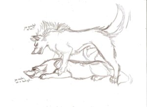 Rating: Explicit Score: 0 Tags: animal_genitalia canid canine canis duo e621 female feral genitals hi_res iowa male male/female mammal monochrome nude penis penis_tip shadow sheath simple_background tail white_background wolf User: bunchy7s