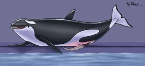 Rating: Explicit Score: 0 Tags: animal_genitalia animal_penis aquatic cetacean cetacean_genitalia cetacean_penis dolorcin dolphin e621 erection feral genital_slit genitals male mammal nude oceanic_dolphin orca penis solo tapering_penis tongue toothed_whale User: bunchy7s Rating: Explicit Score: 0 Tags: animal_genitalia animal_penis aquatic cetacean cetacean_genitalia cetacean_penis dolorcin dolphin e621 erection feral genital_slit genitals male mammal nude oceanic_dolphin orca penis solo tapering_penis tongue toothed_whale User: bunchy7s