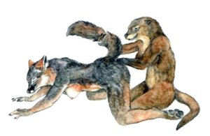 Rating: Explicit Score: 0 Tags: all_fours amagire anthro breasts canine digitigrade feet female fisting fox fur furry grey_fox hindpaw mustelid nipples otter paws raised_tail rule34 tail toes yuri User: bunchy7s