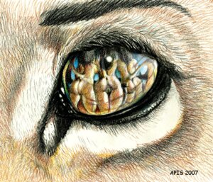 Rating: Explicit Score: 0 Tags: 2007 anthro anus black_hair butt colored_pencil_(artwork) e621 eye_reflection eye_shot eye_waterline eyes_close-up felid female fur genitals glistening glistening_eyes group hair lion mammal nude pantherine psithyrus raised_tail reflection solo_focus tail tail_anus traditional_media_(artwork) vulva User: bunchy7s
