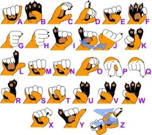 Rating: Safe Score: 0 Tags: alphabet ambiguous_gender american_sign_language anthro claws digital_media_(artwork) e621 educational felid hand_shot how-to mammal pantherine paws sign_language simple_background solo stamps tiger white_background User: bunchy7s Rating: Safe Score: 0 Tags: alphabet ambiguous_gender american_sign_language anthro claws digital_media_(artwork) e621 educational felid hand_shot how-to mammal pantherine paws sign_language simple_background solo stamps tiger white_background User: bunchy7s