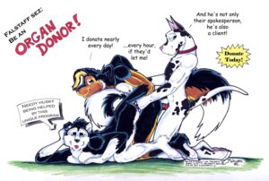 Rating: Explicit Score: 0 Tags: 2002 advertisement anal anal_penetration anthro canid canine collar dialogue e621 english_text erection falstaff_(jessica_willard) femboy genitals group group_sex humor jessica_willard male male/male male_penetrated male_penetrating male_penetrating_male mammal penetration penis piercing sex signature simple_background tail text threesome traditional_media_(artwork) train_position trio white_background User: bunchy7s Rating: Explicit Score: 0 Tags: 2002 advertisement anal anal_penetration anthro canid canine collar dialogue e621 english_text erection falstaff_(jessica_willard) femboy genitals group group_sex humor jessica_willard male male/male male_penetrated male_penetrating male_penetrating_male mammal penetration penis piercing sex signature simple_background tail text threesome traditional_media_(artwork) train_position trio white_background User: bunchy7s