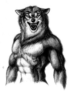 Rating: Safe Score: 0 Tags: abs anthro biped black_and_white black_body black_fur canid canine canis clothed clothing e621 front_view fur graphite_(artwork) grey_body grey_fur half-length_portrait iisaw looking_at_viewer low_res male mammal monochrome muscular muscular_anthro muscular_male mythological_canine mythological_creature mythology portrait simple_background snarling solo standing three-quarter_view topless traditional_media_(artwork) werecanid werecanine werecreature werewolf white_background wolf User: bunchy7s