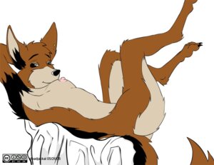Rating: Questionable Score: 0 Tags: 2008 anthro biped breasts canid canine canis cassie_(deadjackal) cc-by-nc-sa creative_commons deadjackal e621 female freely_redistributable jackal looking_at_viewer lying mammal nipples on_back side_boob solo tail User: bunchy7s Rating: Questionable Score: 0 Tags: 2008 anthro biped breasts canid canine canis cassie_(deadjackal) cc-by-nc-sa creative_commons deadjackal e621 female freely_redistributable jackal looking_at_viewer lying mammal nipples on_back side_boob solo tail User: bunchy7s