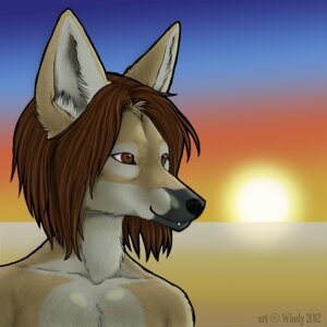 Rating: Safe Score: 0 Tags: 1:1 2012 anthro avoid_posting black_nose brown_eyes brown_hair canid canine canis chest_tuft e621 fur garrett_dekker hair hi_res inner_ear_fluff jackal male mammal outside redwolfofwind smile solo sunrise tuft year User: bunchy7s