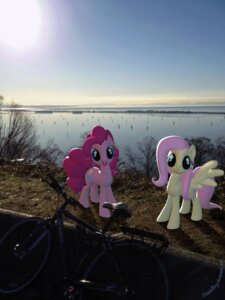 Rating: Safe Score: 0 Tags: 2013 3:4 3d_(artwork) 3d_animation animated animated_gif bicycle blinking blue_eyes cutie_mark day deathpwny digital_media_(artwork) duo e621 earth_pony english_text equid equine feathered_wings feathers female feral fluttershy_(mlp) friendship_is_magic fur hair hasbro horse jumping looking_at_viewer mammal my_little_pony mythological_creature mythological_equine mythology open_mouth outside pegasus pink_body pink_fur pink_hair pinkie_pie_(mlp) pony quadruped short_playtime signature sky tail text vehicle wings yellow_body yellow_feathers yellow_fur User: bunchy7s Rating: Safe Score: 0 Tags: 2013 3:4 3d_(artwork) 3d_animation animated animated_gif bicycle blinking blue_eyes cutie_mark day deathpwny digital_media_(artwork) duo e621 earth_pony english_text equid equine feathered_wings feathers female feral fluttershy_(mlp) friendship_is_magic fur hair hasbro horse jumping looking_at_viewer mammal my_little_pony mythological_creature mythological_equine mythology open_mouth outside pegasus pink_body pink_fur pink_hair pinkie_pie_(mlp) pony quadruped short_playtime signature sky tail text vehicle wings yellow_body yellow_feathers yellow_fur User: bunchy7s