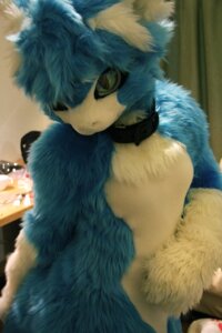Rating: Safe Score: 0 Tags: 2:3 ambiguous_gender anthro clothing collar costume dragon e621 fur furred_dragon furred_scalie fursuit fuzisawa grandfathered_content kemono loki_(fursuiter) mythological_creature mythological_scalie mythology real scalie solo User: bunchy7s