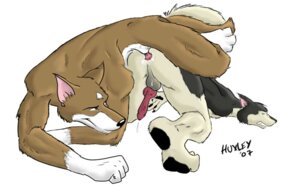 Rating: Explicit Score: 0 Tags: 2007 anal anal_penetration anthro balls canid canine canis domestic_dog duo e621 erection genitals husky huxley interspecies male male/male male_penetrated male_penetrating male_penetrating_male mammal nordic_sled_dog penetration penis sex spitz wolf User: bunchy7s
